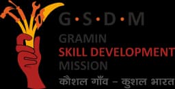 GSDM logo